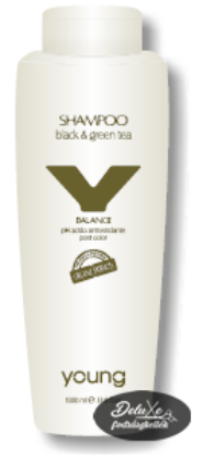 Kép Young - Balance - Sampon festett hajra zöld és fekete tea kivonattal 1000 ml