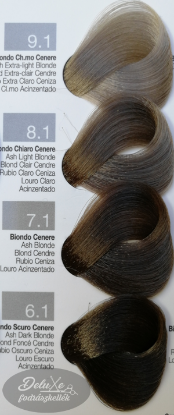 Kép Beauty Long Evolution hajfesték 100 ml - Hamvas színek