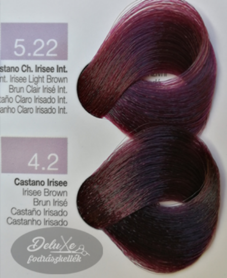 Beauty Long Evolution hajfesték 100 ml - Viola színek képe