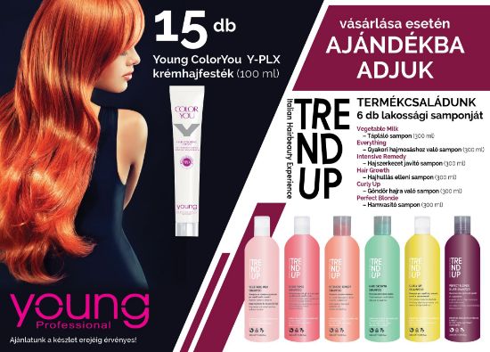 AKCIÓ - 15 db Young hajfestékhez AJÁNDÉK  6 féle Trend Up  300 ml sampon képe
