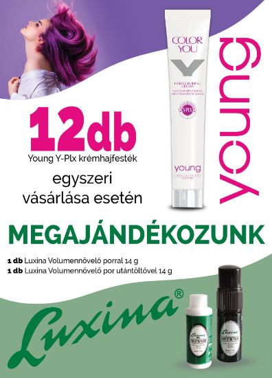 AKCIÓ - 12 db Young hajfestékhez AJÁNDÉK Luxina Volumennövelő por+utántöltő képe