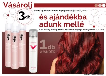 Kép AKCIÓ - Trend Up - 3 db Extra erős hajtógázas hajlakkhoz  (3x500 ml) AJÁNDÉK Young Extra erős hajtógázas hajlakk (500 ml)